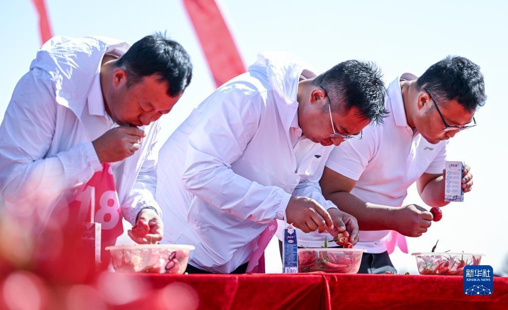 FG电子下载